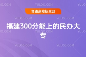 2025긣300ϵרЩ