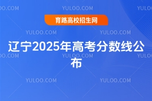 2025߿߹