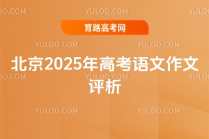 2025߿