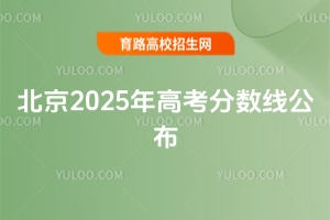 2025߿߹