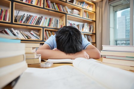 2025年北京怀柔索兰诺中学高中国内班招生计划已公布，预计招生490人！