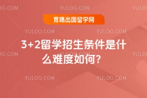 20253+2ѧʲô