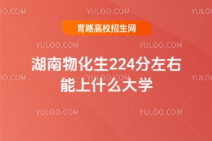 2025ﻯ224ʲôѧ