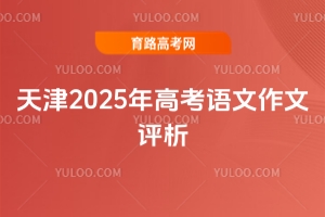 2025߿