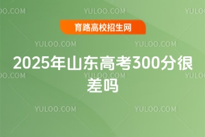 2025ɽ߿300֣Ĳѧ;Ȼ