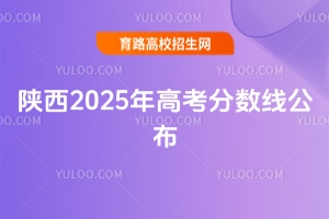2025߿߹