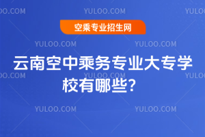 2025年云南空中乘務(wù)專(zhuān)業(yè)大專(zhuān)學(xué)校有哪些?
