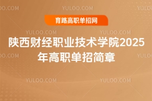 陕西财经职业技术学院2025年高职单招简章
