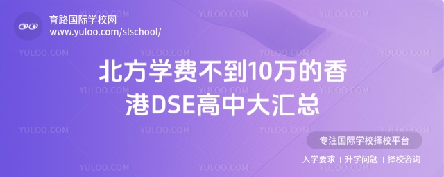 ѧѲ10DSE