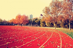 天津泰达枫叶国际学校