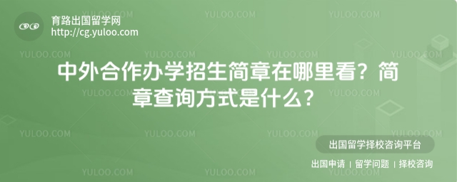 中外合作办学招生简章