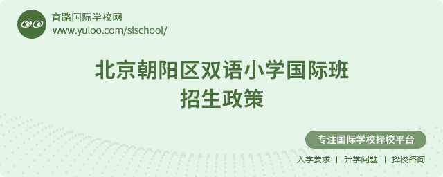 2025年北京朝阳区双语小学国际班招生政策