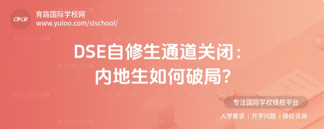 DSE������ͨ���رգ��ڵ�������ƾ�?