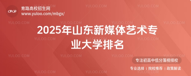 2025山东新媒体艺术专业大学排名