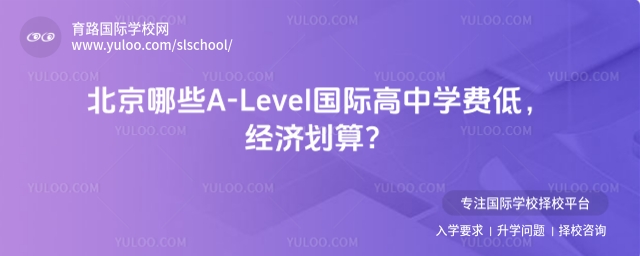 ѧѵ͵A-Levelʸ