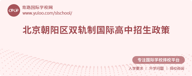 2025年北京朝阳区双轨制国际高中招生政策