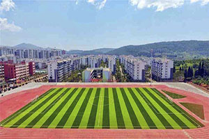 云南藝術學院文華學院