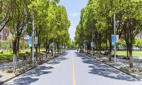 2025陕西省大学一览,不同分数择校必看