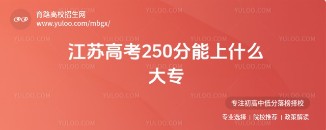 2025꽭ո߿250ʲôר