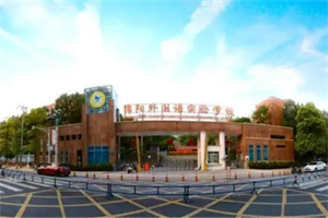 绵阳外国语实验学校