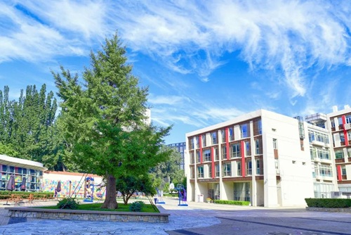 �����ֳɹ���ѧУ