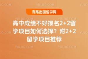 ���гɼ����ñ���2+2��ѧ��Ŀ���ѡ�񣿸�2+2��ѧ��Ŀ�Ƽ�