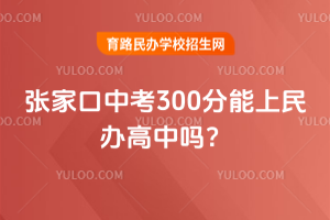 2025żҿп300