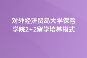 对外经济贸易大学保险学院2+2留学培养模式