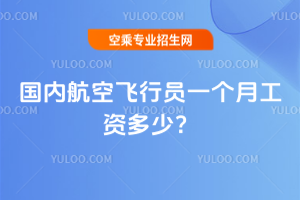 2025年國內航空飛行員一個月工資多少?