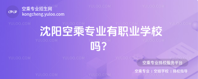沈陽空乘專業有職業學校嗎?