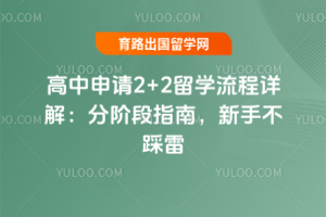 ��������2+2��ѧ������⣺�ֽ׶�ָ�ϣ����ֲ�����