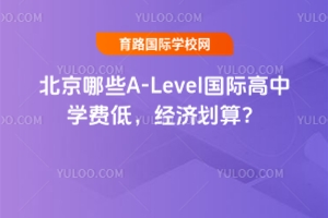 ЩA-Levelʸѧѵͣû㣿