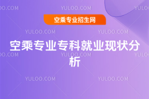 2025年空乘專業專科就業現狀分析