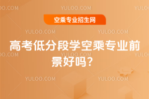 2025年高考低分段學空乘專業前景好嗎?
