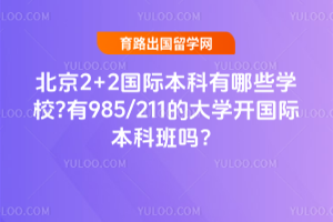2+2ʱЩѧУ?985/211Ĵѧʱư