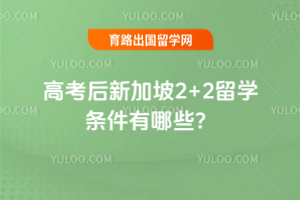 ߿¼2+2ѧЩ