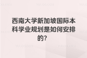 西南大学新加坡国际本科学业规划是如何安排的？