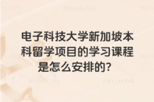 电子科技大学新加坡本科留学项目的学习课程是怎么安排的？