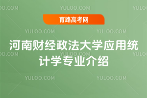 ���ϲƾ�������ѧӦ��ͳ��ѧרҵ����