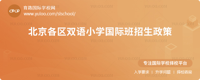2025年北京各区双语小学国际班招生政策