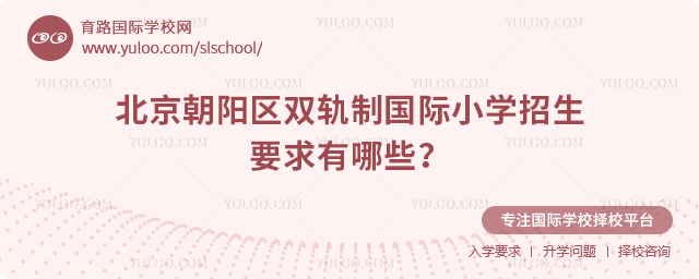 2025年北京朝阳区双轨制国际小学招生要求