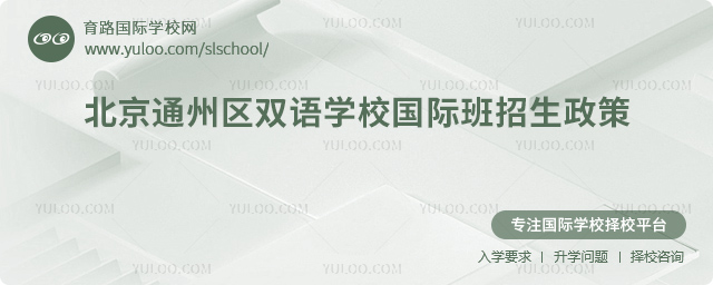 2025年北京通州区双语学校国际班招生政策