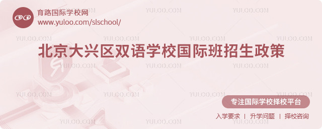 2025年北京大兴区双语学校国际班招生政策