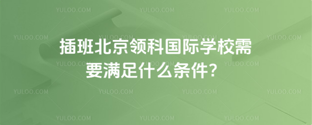 插班北京领科国际学校需要满足什么条件