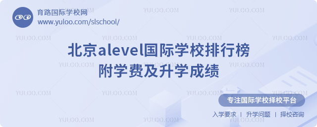 2025걱alevelѧУа