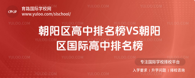 VSʸ