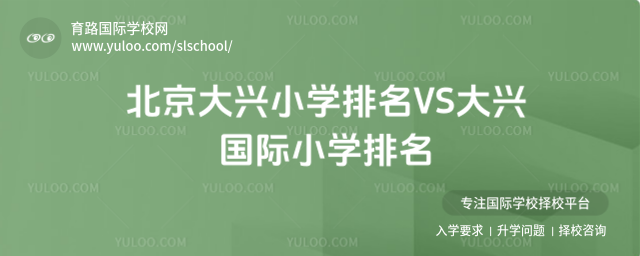 北京大兴小学排名VS大兴国际小学排名