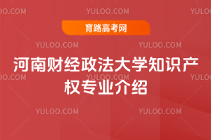 ���ϲƾ�������ѧ֪ʶ��Ȩרҵ����