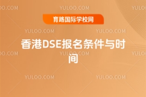 2026DSEʱ