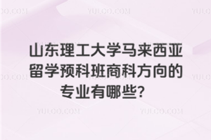 山东理工大学马来西亚留学预科班商科方向的专业有哪些？